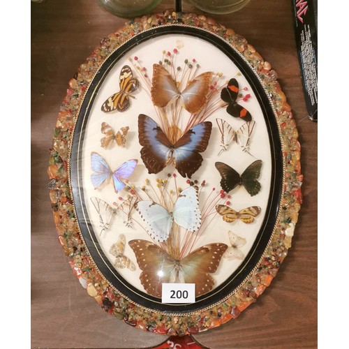 Lot 200       