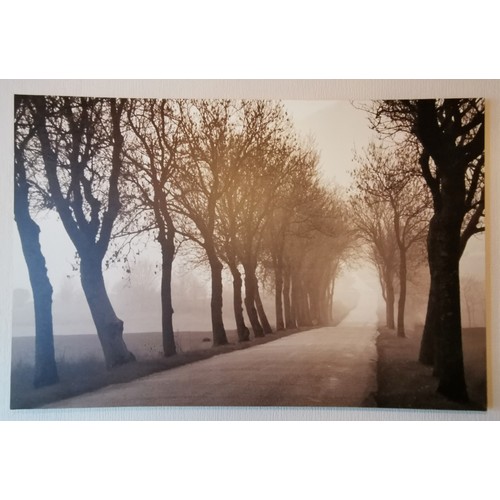 11 - 118 x 78 cm large box canvas misty tree lined road picture