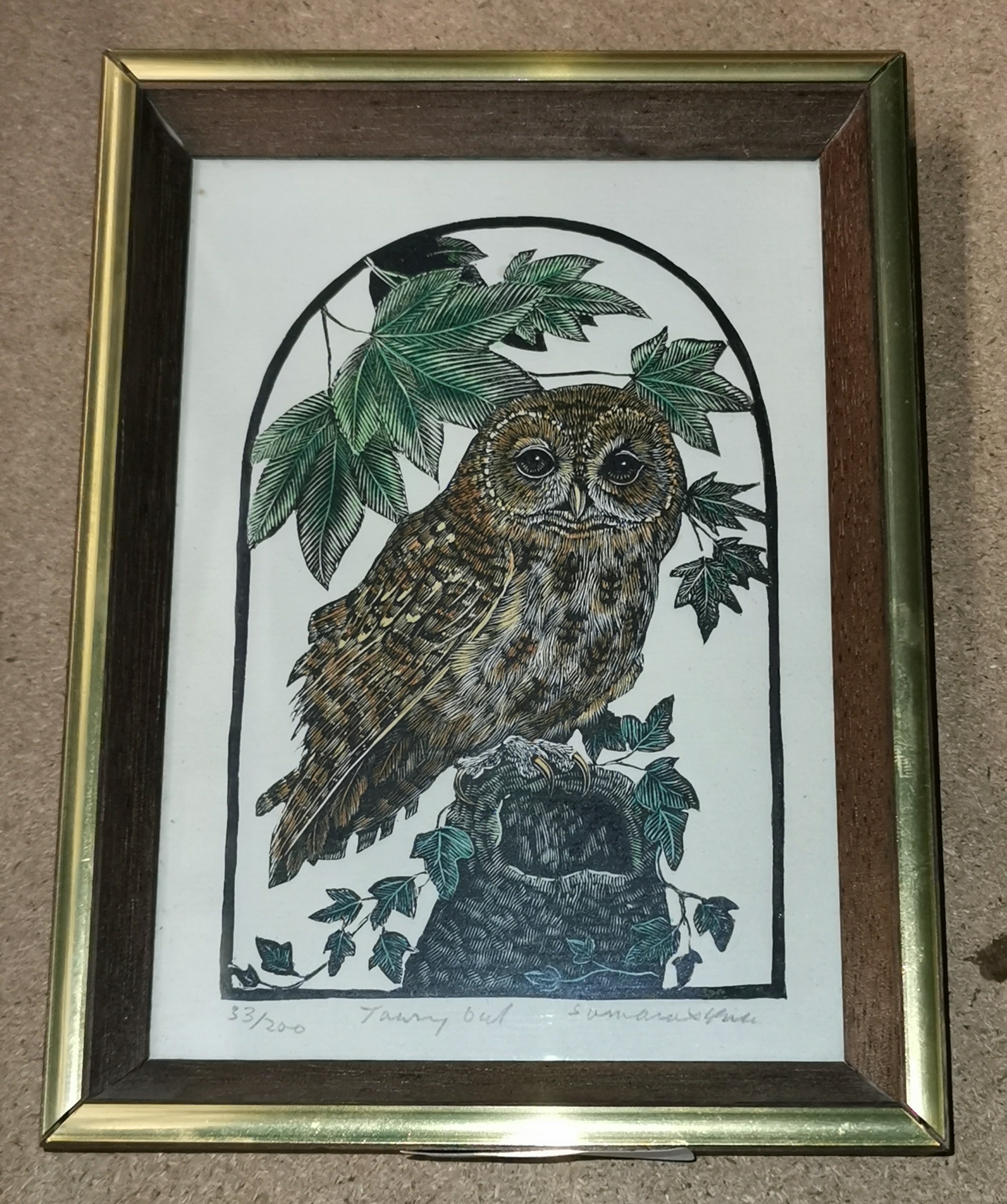 15 X 20 Cm Framed Hand Painted Limited Edition Wood Engraving Print Of 