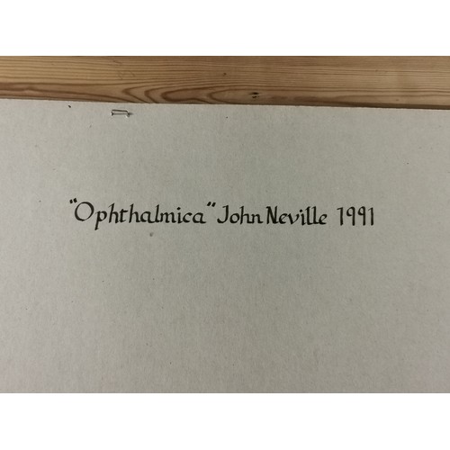 3 - 105 x 74 cm framed 1991 commissioned painting on canvas by artist John Neville titled 'Opthalmica'