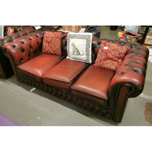 211 - Oxblood 3 seater chesterfield couch in near immaculate condition