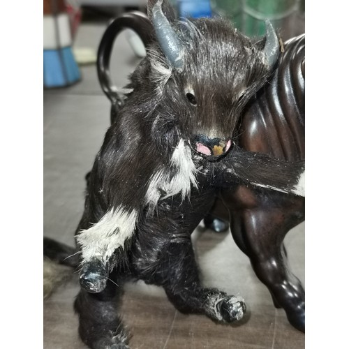 57 - 22 cm long carved look and smaller fur covered bull figures