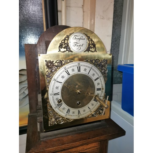 91 - 169 cm tall slim Tempus Fugit chiming long case clock with key and pendulum