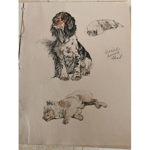 225 - 1930's Just Among Friends by Cecil Aldin dog sketch book - front cover missing and couple of pages w... 