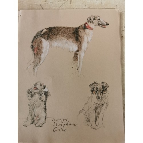 225 - 1930's Just Among Friends by Cecil Aldin dog sketch book - front cover missing and couple of pages w... 