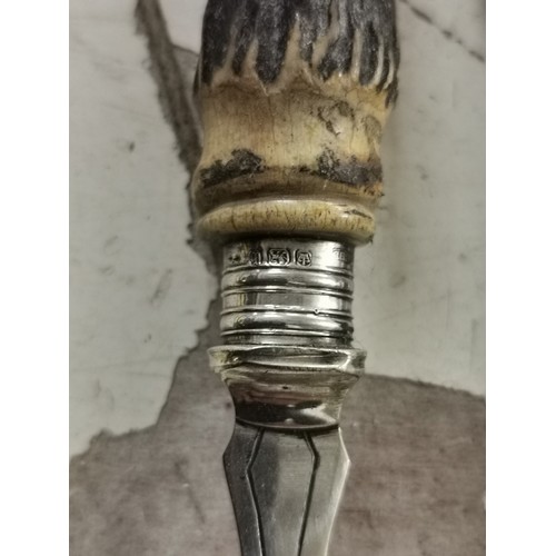 719 - Bone handle serving fork and knife sharpener with hallmarked silver collars