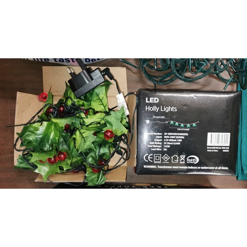 173 - Boxed LED holly lights