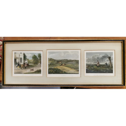 57 - 58 x 22 cm framed and mounted trio of 19th century, pheasant shooting colour engravings