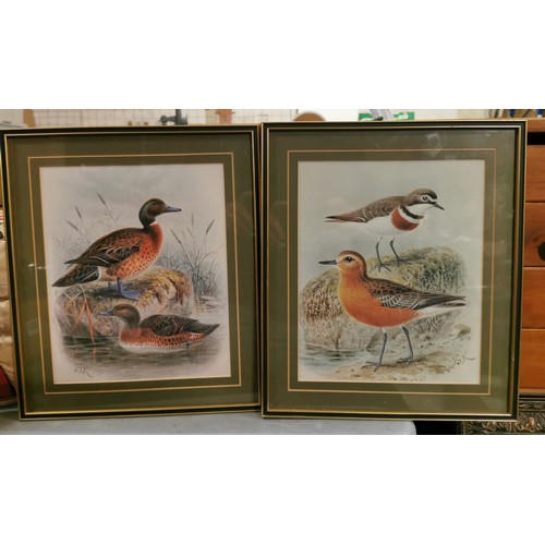 59 - Pair of 31.5 x 36.5 cm framed and mounted bird study prints after original John Keulemans illustrati... 