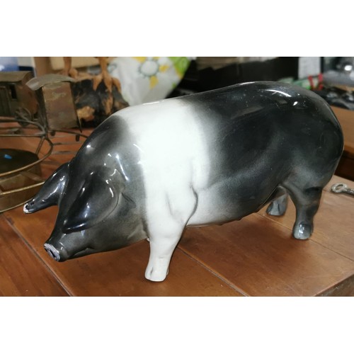 151 - 22 cm long Beswick? Wessex saddleback pig figure, no damage but missing paint flecks on right ear