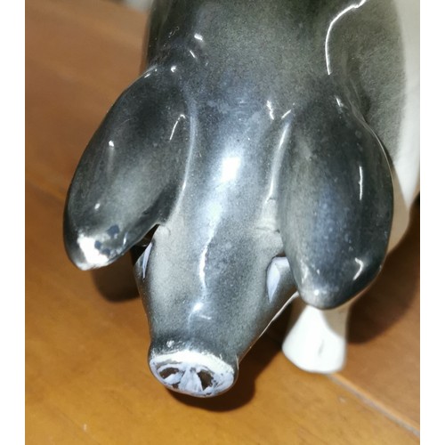 151 - 22 cm long Beswick? Wessex saddleback pig figure, no damage but missing paint flecks on right ear