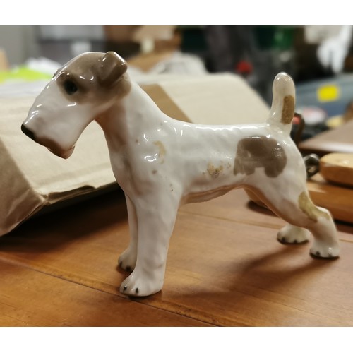 170 - 11 cm wide and 8 cm tall Czech Royal Dux wire haired fox terrier figure with glued repair to back le... 