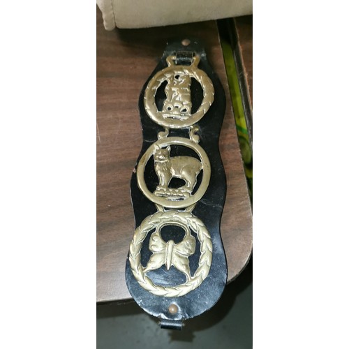 68 - 3 x animal horse brasses on leather strap