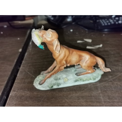 92 - 14 cm long and 10 cm tall Triade porcelain (Capodimonte) Irish setter with pheasant in mouth figure