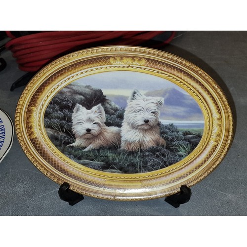 78 - 22 x 17 cm oval Franklin Mint, limited edition West Highland terrier, collectors plate by Nigel Hemm... 