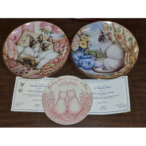 71 - 2 x Debbie Cook for Danbury mint, Siamese cat collectors plates with COA's and other smaller cat pla... 