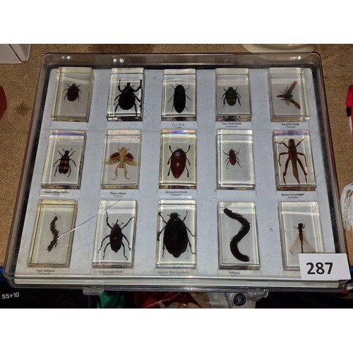 287 - 34 x 28 cm case of 15 x insects and beetles in resin