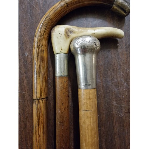 161 - Hallmarked silver top walking cane, bone handle walking stick with white metal collar and other with... 