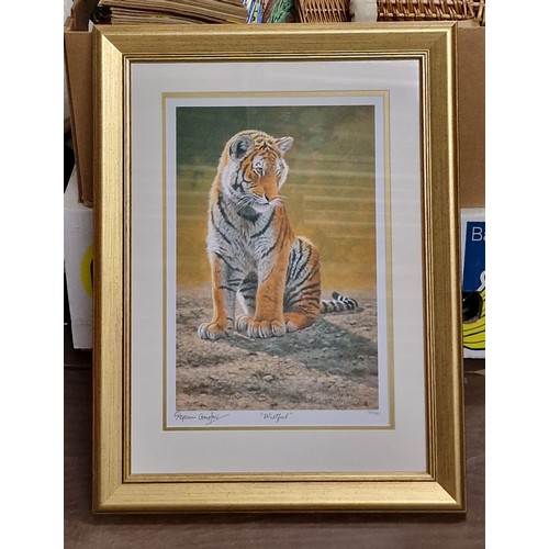 92 - 40 x 52.5 cm framed and mounted limited edition giclee tiger print by STEPHEN GAYFORD, titled 'wistf... 