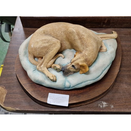 285 - 31 cm long Border Fine Arts Great Dane lay on cushion figure on wooden base by E. Waugh