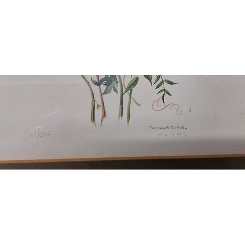 29 - Set of 4 x pencil signed 27.5 x 33 cm framed and mounted wild flower and butterfly, limited edition ... 