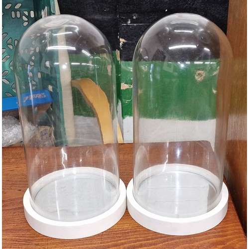 25 - Pair of 32 cm tall glass display domes on mirrored bases