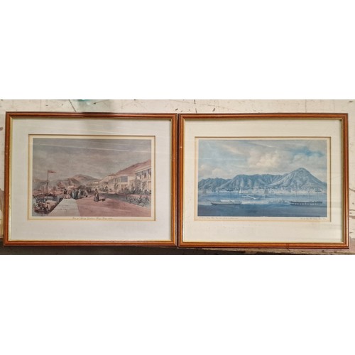 Lot 28        