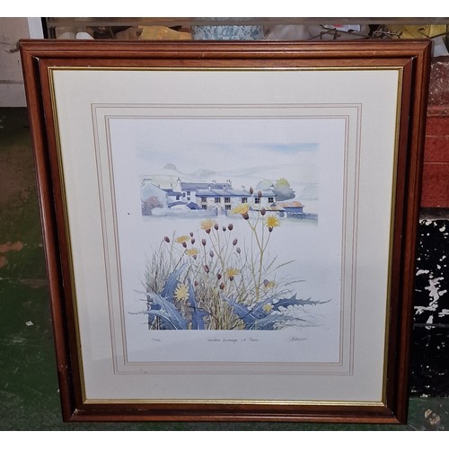 Lot 24        