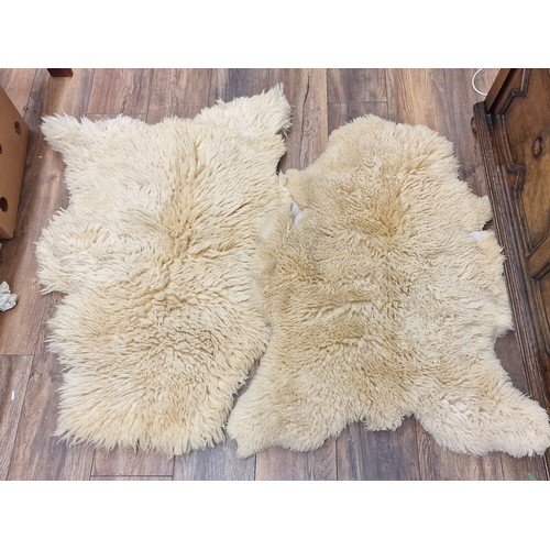 Pair of approximately 3 ft genuine sheepskin rugs