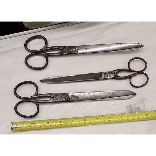 102 - 3 x pairs of vintage steel Ridgely scissors, all cut well