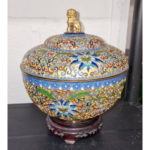 60 - 18 cm diameter and tall vintage Chinese cloisonne lidded pot with gold Foo dog top, on wooden stand