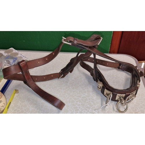 Lot 279       
