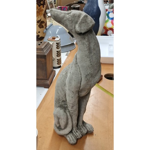 322 - 55 cm tall heavy reconstituted stoneware greyhound/whippet/lurcher with turned head garden statue