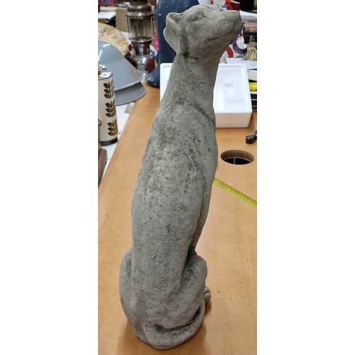 322 - 55 cm tall heavy reconstituted stoneware greyhound/whippet/lurcher with turned head garden statue