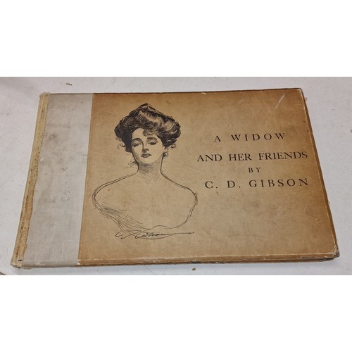 17 - 44.5 x 29.5 cm large 1901 A Widow and her friends cartoon drawing book by C.D. Gibson