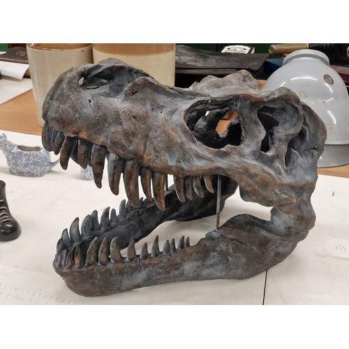 321 - 60 cm long and 36 cm tall large wall hang or free stand Tyrannosaurus Rex head skeleton