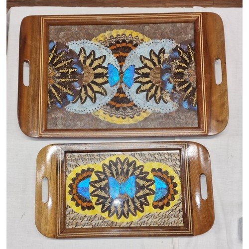 339 - 51.5 x 33 cm & 41.5 x 23 cm vintage Brazilian butterfly wing decorated trays, smaller with crack on ... 