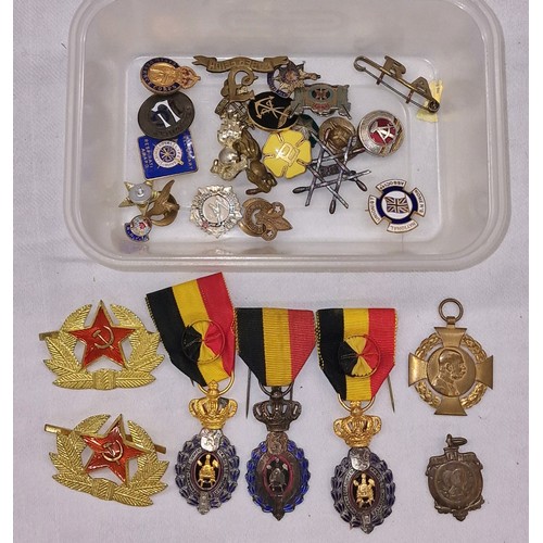 480 - Small collection of assorted medals, pin brooches and military badges etc