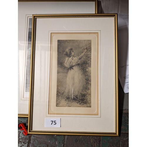 75 - 27 x 36 cm framed and mounted 19th century print after original etching