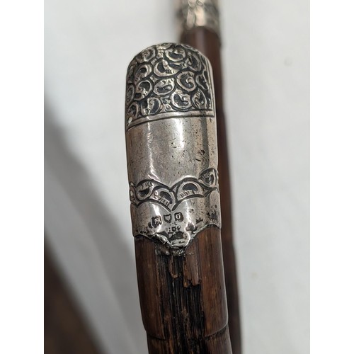 169 - hallmarked silver end and collar walking cane