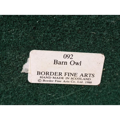 68 - 19 cm tall Border Fine Arts barn owl by Ayres