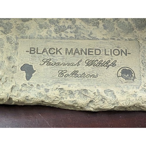 57 - Hand painted black maned lion figure by Savannah Wildlife Collection on approximately 27 x 15 cm woo... 