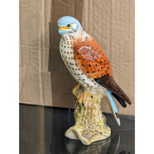 58 - 17 cm tall early Beswick 2316 kestrel figure