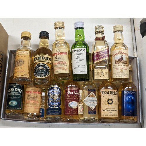 Lot 261       