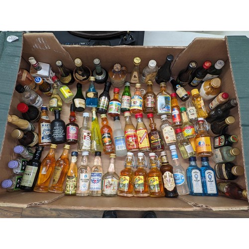 Lot 242       