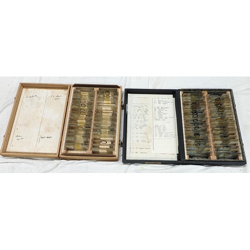 Lot 240       