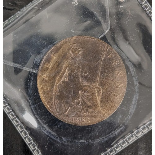 Lot 288       