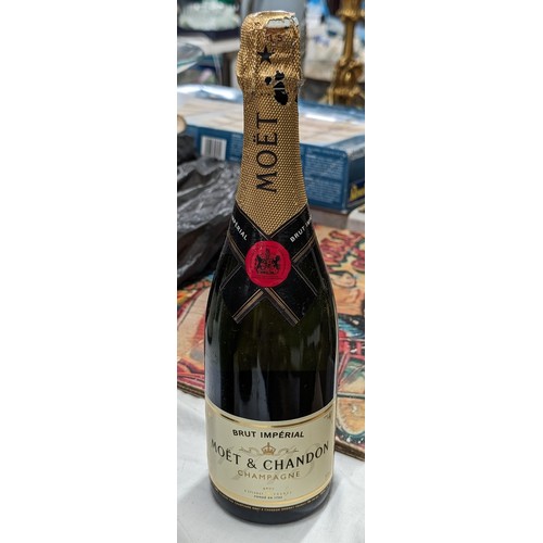 Lot 404       