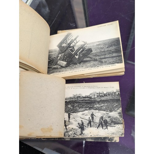 29 - 2 x WWI unused postcard booklets being En Artois (24) and Bataille De L'Aisne (20) with bombed scene... 