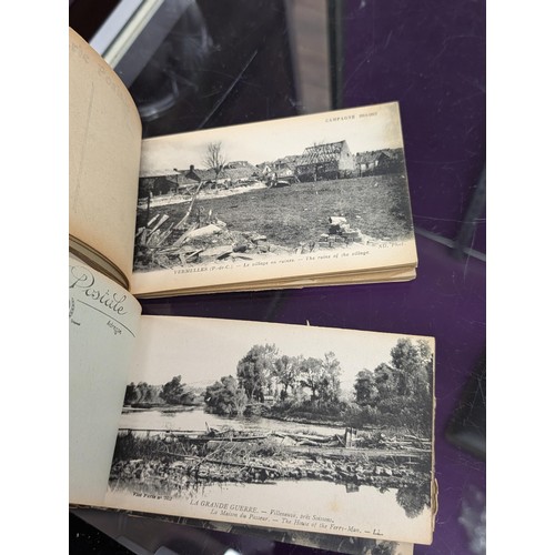 29 - 2 x WWI unused postcard booklets being En Artois (24) and Bataille De L'Aisne (20) with bombed scene... 